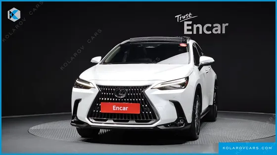 LEXUS NX LUXURY