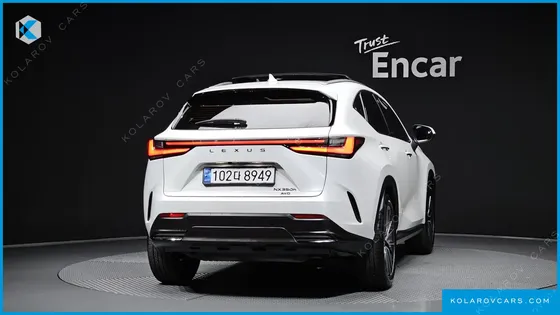 LEXUS NX LUXURY