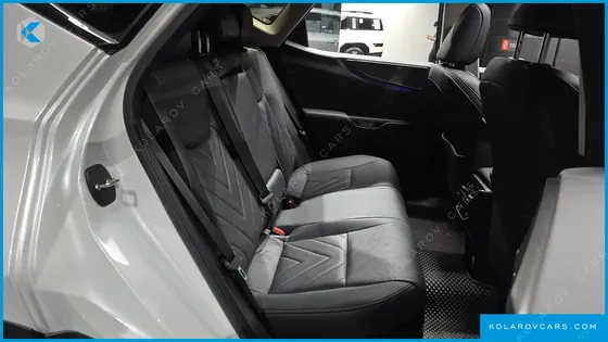 LEXUS NX LUXURY