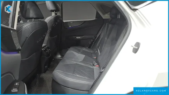 LEXUS NX LUXURY