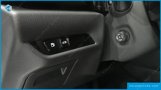 LEXUS NX LUXURY