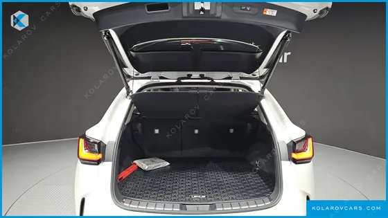 LEXUS NX LUXURY