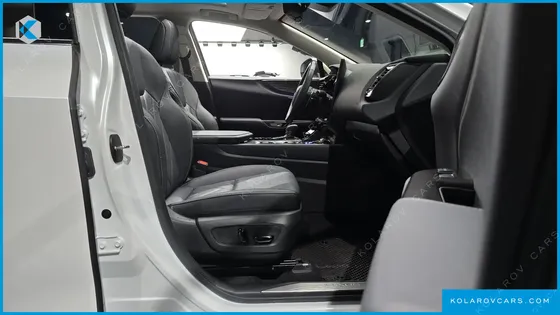 LEXUS NX LUXURY