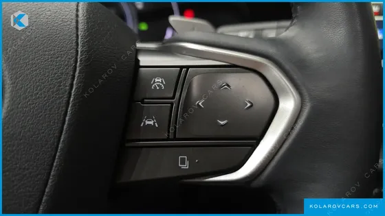 LEXUS NX LUXURY