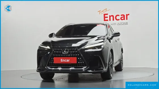 LEXUS NX PREMIUM