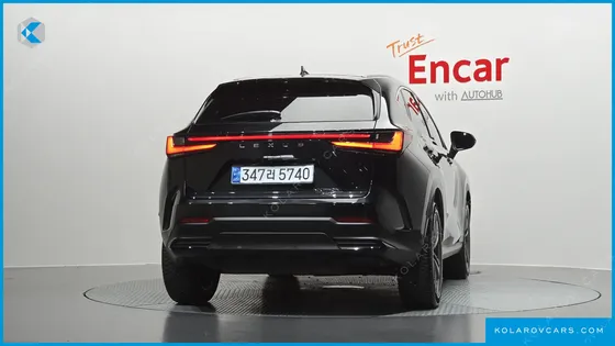 LEXUS NX PREMIUM