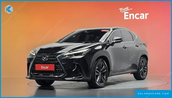LEXUS NX PREMIUM