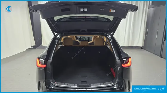 LEXUS NX PREMIUM