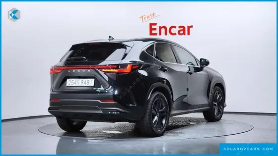 LEXUS NX PREMIUM
