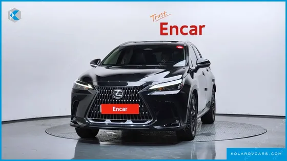 LEXUS NX PREMIUM