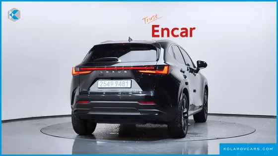 LEXUS NX PREMIUM