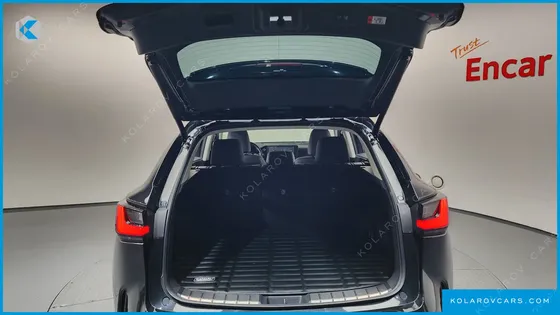 LEXUS NX PREMIUM