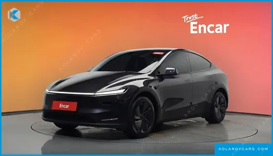 TESLA MODEL Y LONG RANGE AWD