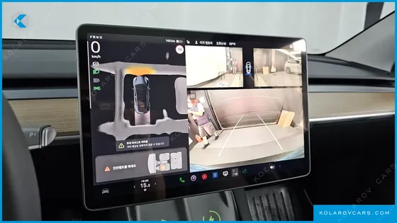 TESLA MODEL Y RWD