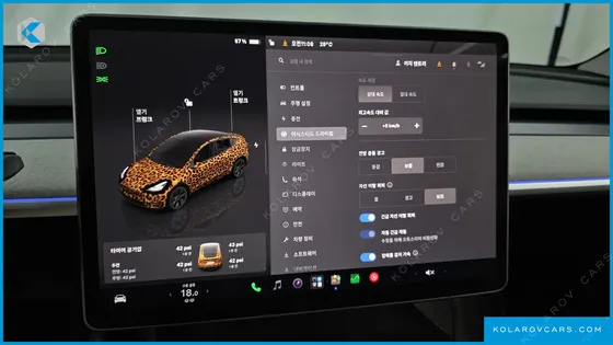 TESLA MODEL Y LONG RANGE AWD