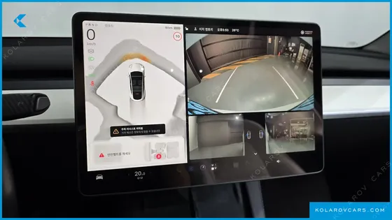 TESLA MODEL Y RWD