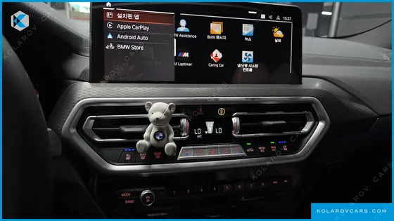 BMW X4 XDRIVE20I M SPORT PRO SPECIAL EDITION
