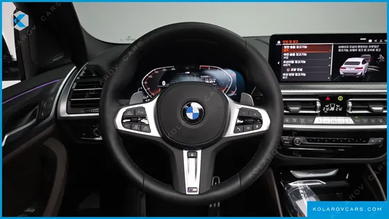 BMW X4 XDRIVE20I M SPORT PRO SPECIAL EDITION