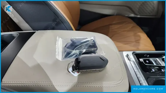 KIA CARNIVAL 9-SEATER HI LIMOUSINE (SPECIAL VEHICLE)