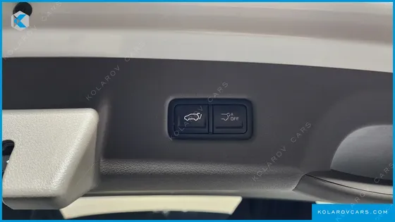 KIA CARNIVAL 9-SEATER HI LIMOUSINE (SPECIAL VEHICLE)