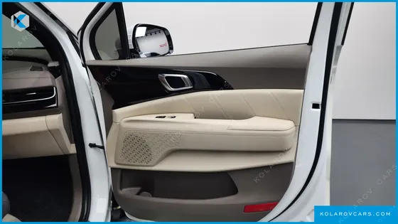 KIA CARNIVAL 9-SEATER HI LIMOUSINE (SPECIAL VEHICLE)