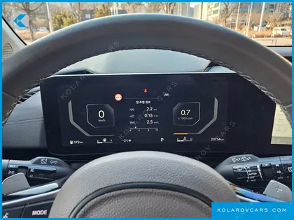 KIA CARNIVAL GASOLINE 9-SEATER HI LIMOUSINE