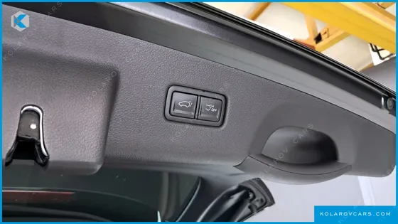 KIA CARNIVAL 9-SEATER NOBLESSE