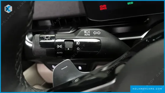 KIA CARNIVAL GASOLINE 9-SEATER SIGNATURE