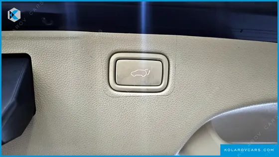 KIA CARNIVAL 9-SEATER NOBLESSE