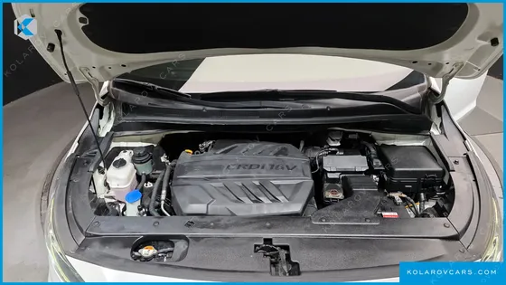 KIA CARNIVAL 7-SEATER LIMOUSINE