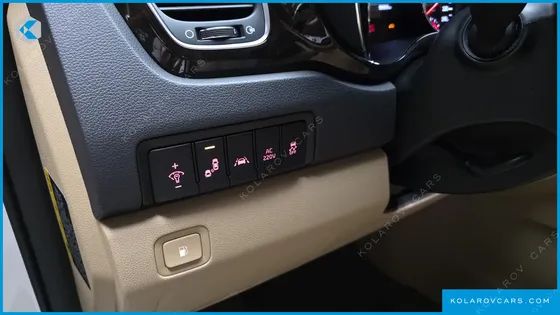 KIA CARNIVAL 9-SEATER NOBLESSE SPECIAL