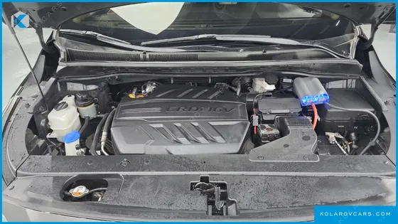 KIA CARNIVAL 9-SEATER HI-LIMOUSINE