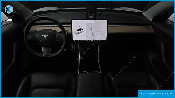 TESLA MODEL 3 STANDARD RANGE PLUE RWD