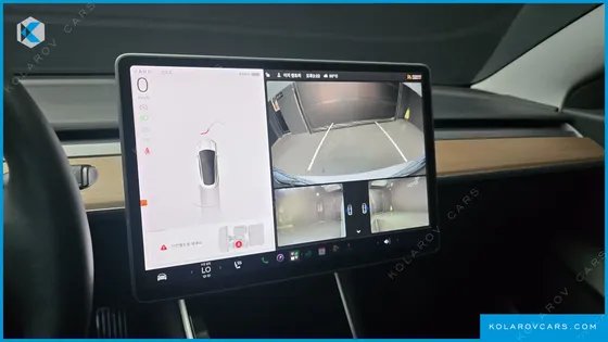 TESLA MODEL 3 STANDARD RANGE PLUE RWD