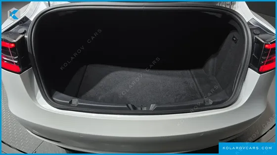 TESLA MODEL 3 STANDARD RANGE PLUE RWD