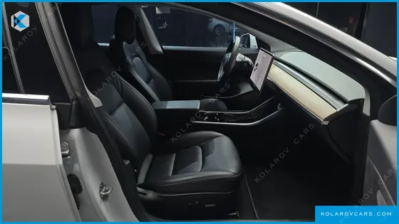 TESLA MODEL 3 STANDARD RANGE PLUE RWD
