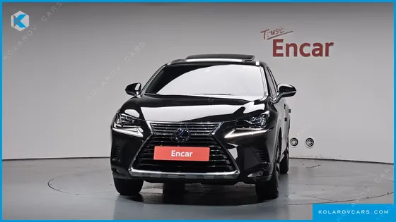LEXUS NX EXECUTIVE