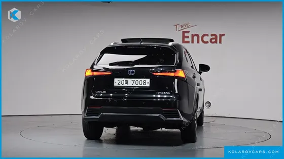 LEXUS NX EXECUTIVE