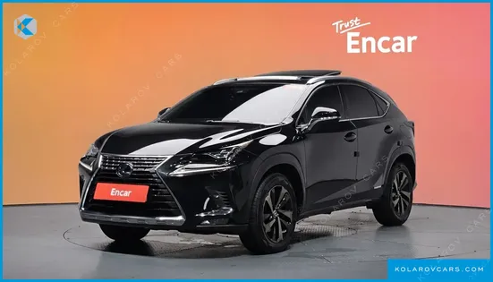 LEXUS NX EXECUTIVE