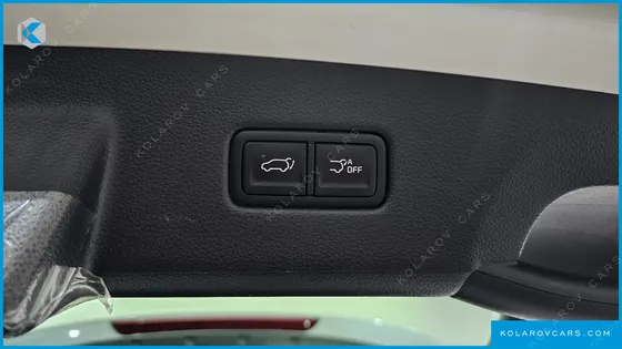 KIA CARNIVAL GASOLINE 9-SEATER SIGNATURE