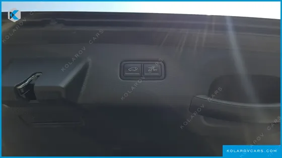 KIA CARNIVAL 9-SEATER SIGNATURE