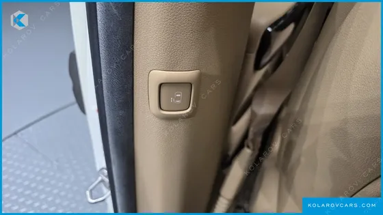 KIA CARNIVAL GASOLINE 7-SEATER LIMOUSINE