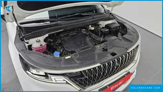 KIA CARNIVAL GASOLINE 9-SEATER HI-LIMOUSINE