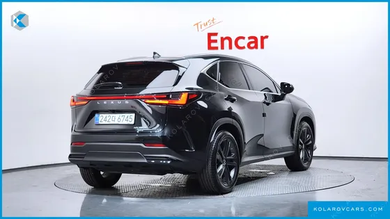 LEXUS NX PREMIUM