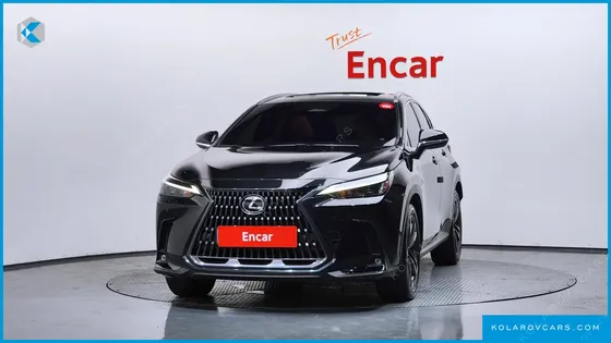 LEXUS NX PREMIUM