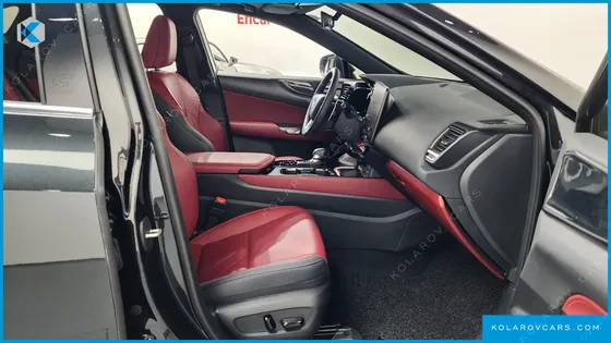 LEXUS NX PREMIUM