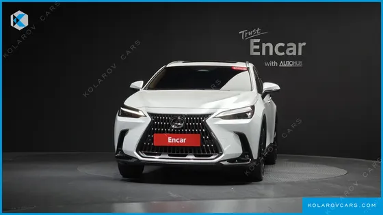 LEXUS NX PREMIUM