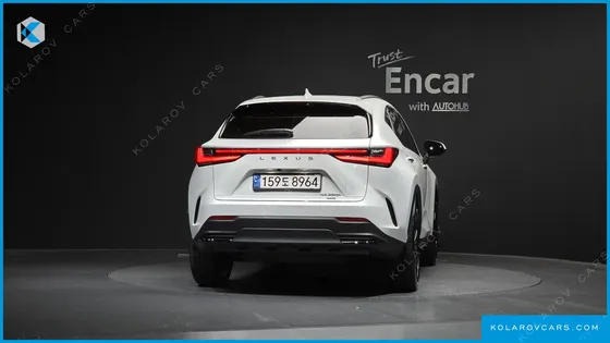 LEXUS NX PREMIUM