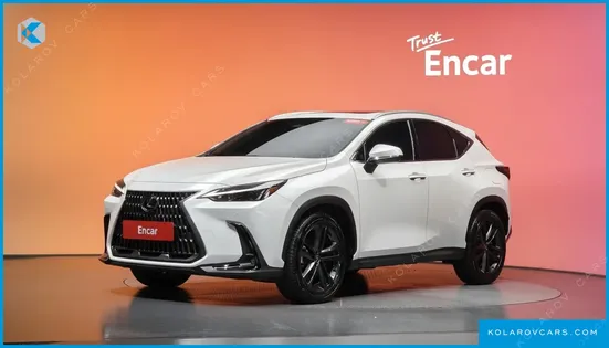 LEXUS NX PREMIUM