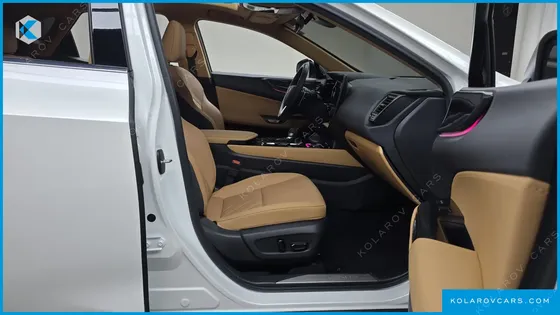 LEXUS NX PREMIUM